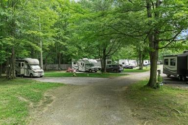 Forest Ridge Cabins & Campground