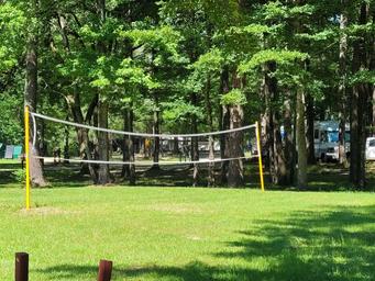 Volleyball court on a grassy area with RVs visible in the tree line — shows on‑site recreation and surrounding campsites. Image hosted on the site’s campground photo gallery.