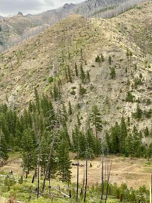 001, Loop: AREA DEER CREEK CABIN