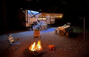 2020 Forest River RV Wildwood FSX 179DBKX