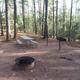 Sharp Creek Standard Campsites all include a picnic table, fire ring, grill, and lantern pole