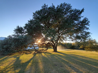 Campspot slideshow image 2