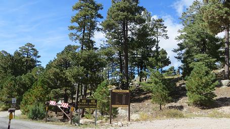 Whitetail Campground