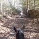 Campspot slideshow image 5