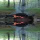 Firepit surrounded by trees and reflected water — shows a campsite fire area and wooded setting on the property. Source: About Us page image on the campground website.