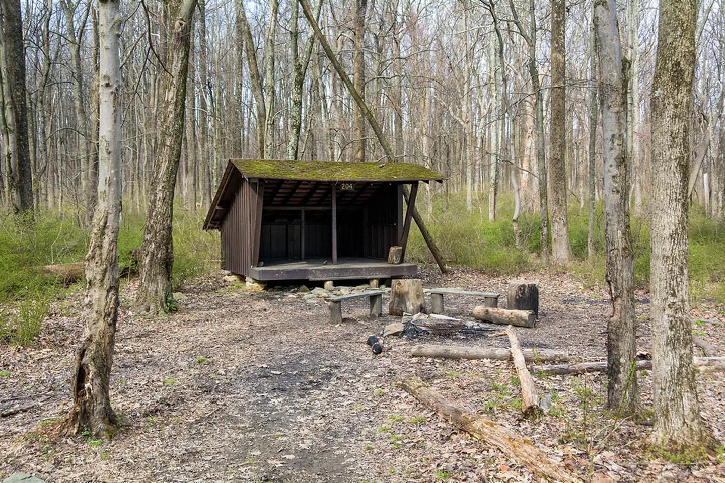 Adirondack Shelters