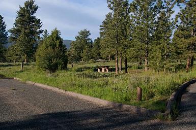 This site has a picnic table in a grassy area surrounded by conifers. 
