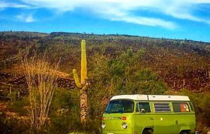 "HONU LI'U" 1977 Volkswagen Classic Westfalia