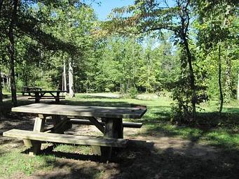 Chilhowee Group Camp, Loop: CHILHOWEE GROUP CAMP