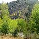 KIT CARSON CAMPGROUND