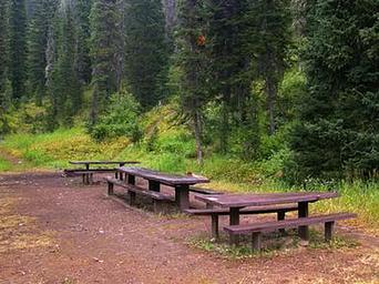 COTTONWOOD GROUP PICNIC SITE