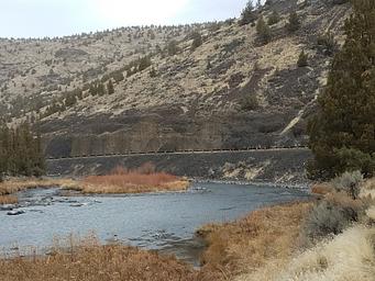 View down the Crooked River at Cobble Rock Campground