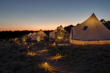 Evening view of a row of illuminated bell tents along a pathway — strong visual of the guest accommodations and nighttime ambiance on the property (from the site gallery).