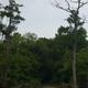 Campground image 3
