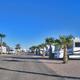 Wide view down an RV lane with multiple full-size motorhomes and palm trees — illustrates typical RV pitches and site layout on the property.