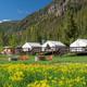A picturesque campground with white canvas tents, wooden fences, and colorful chairs on a sunny meadow speckled with yellow flowers, backed by pine trees and mountains.