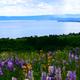 Campspot slideshow image 2