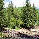 Theater In The Pines 7
