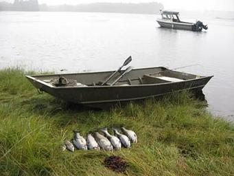 SALT CHUCK EAST CABIN66