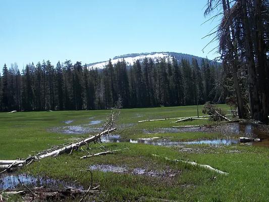 001, Loop: AREA BIG MEADOWS CABIN