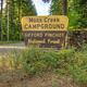 Moss Creek campground