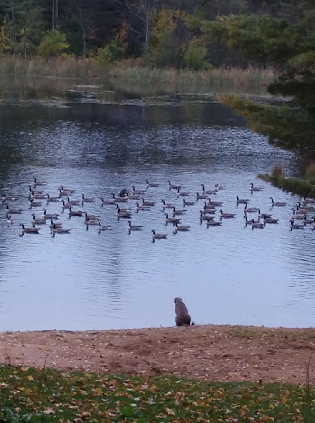 Otter Springs Campground
