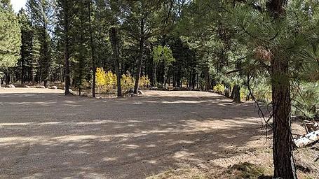 New Group Area Parking