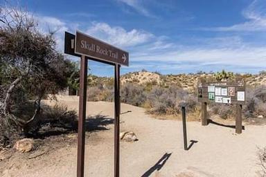 Jumbo Rocks Campground