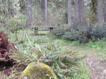 Black Canyon Campground