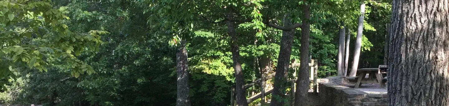 Chilhowee Campground