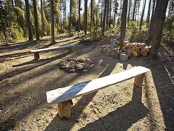 1, Loop: AREA WINDY GROUP CAMP
