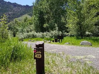 Campsite sign #12, gravel road, mountains and trees.