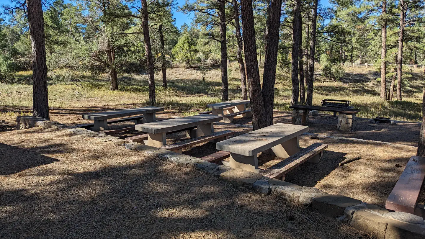 Pine Flat Picnic Sites - a and B