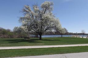 Bixler Lake Campground