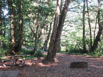 Group Area, Loop: Eagleview Group Campground (Reservation)