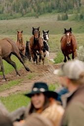 Goosewing Ranch