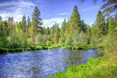 PINE REST CAMPGROUND