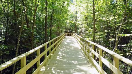 Wooded boardwalk/nature-trail photo depicting onsite walking trails and forested scenery — appears on the site as part of the campground amenities.