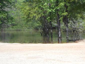 Campground image 4