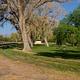 Large Cottonwood trees line the group campsites and shade green grassy areas.