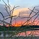 Sunset view from shoreline