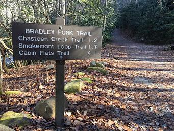 Bradley Fork Trail 