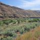View of Beavertail Campground with the Deschutes River.