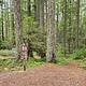 Hemlock Falls Trailhead #1520