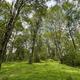 Campspot slideshow image 2