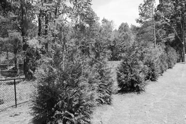 Campspot slideshow image 5