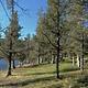 Campground image 2