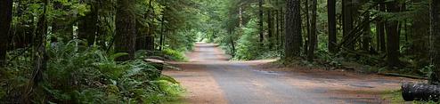 North Fork Campground (WA)
