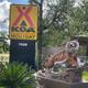 Photograph of the KOA Holiday entrance sign and distinctive tiger statue at the site — confirms property identity and entrance landmark from the campground page.