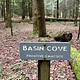 Basin Cove Primitive Campsite